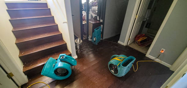 Best Water damage cleanup near me  in Westport, IN