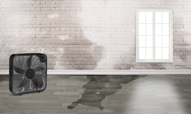 Reliable Westport, IN Water damage restoration Solutions