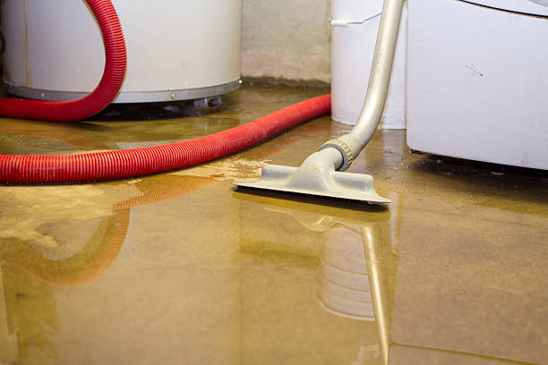 Best Water damage restoration near me  in Westport, IN