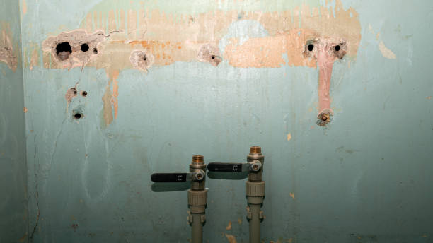 Best Water damage restoration near me  in Westport, IN