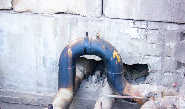 Best Water damage contractors near me  in Westport, IN