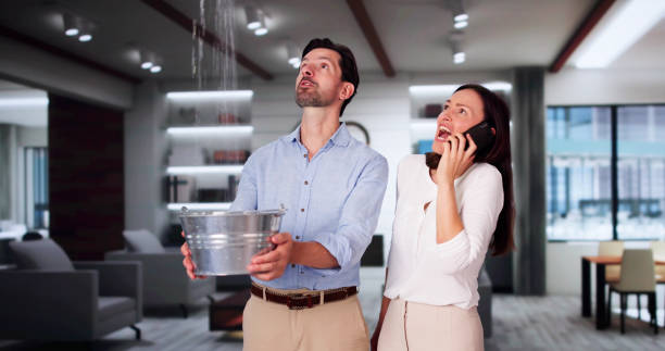 Best 24-hour water damage restoration  in Westport, IN