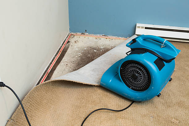 Best Basement water damage restoration  in Westport, IN
